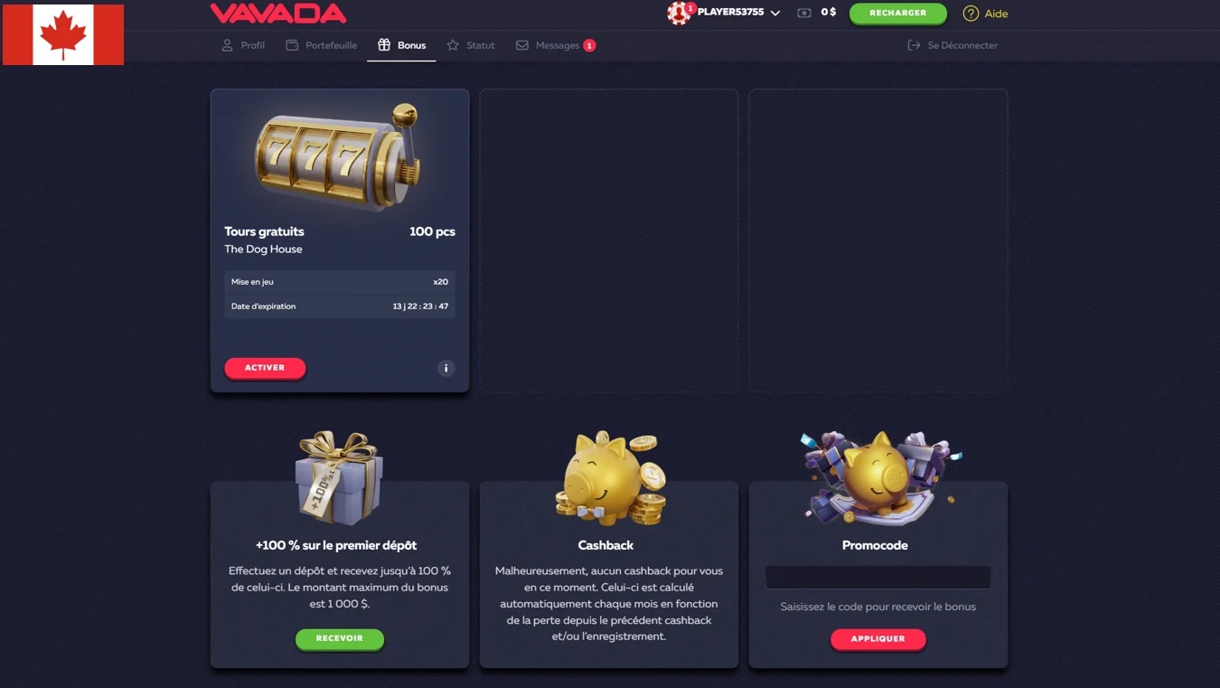 Bonus Casino Vavada
