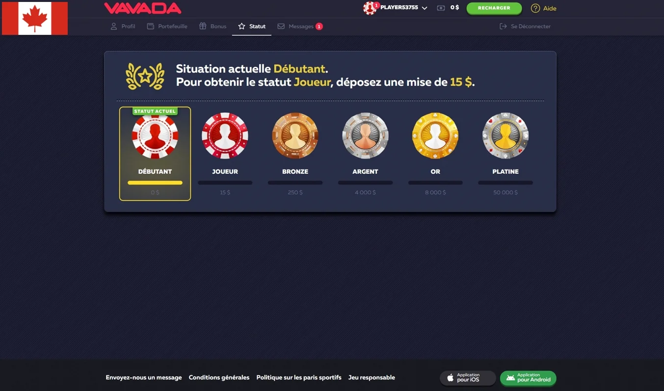 Status Casino Vavada